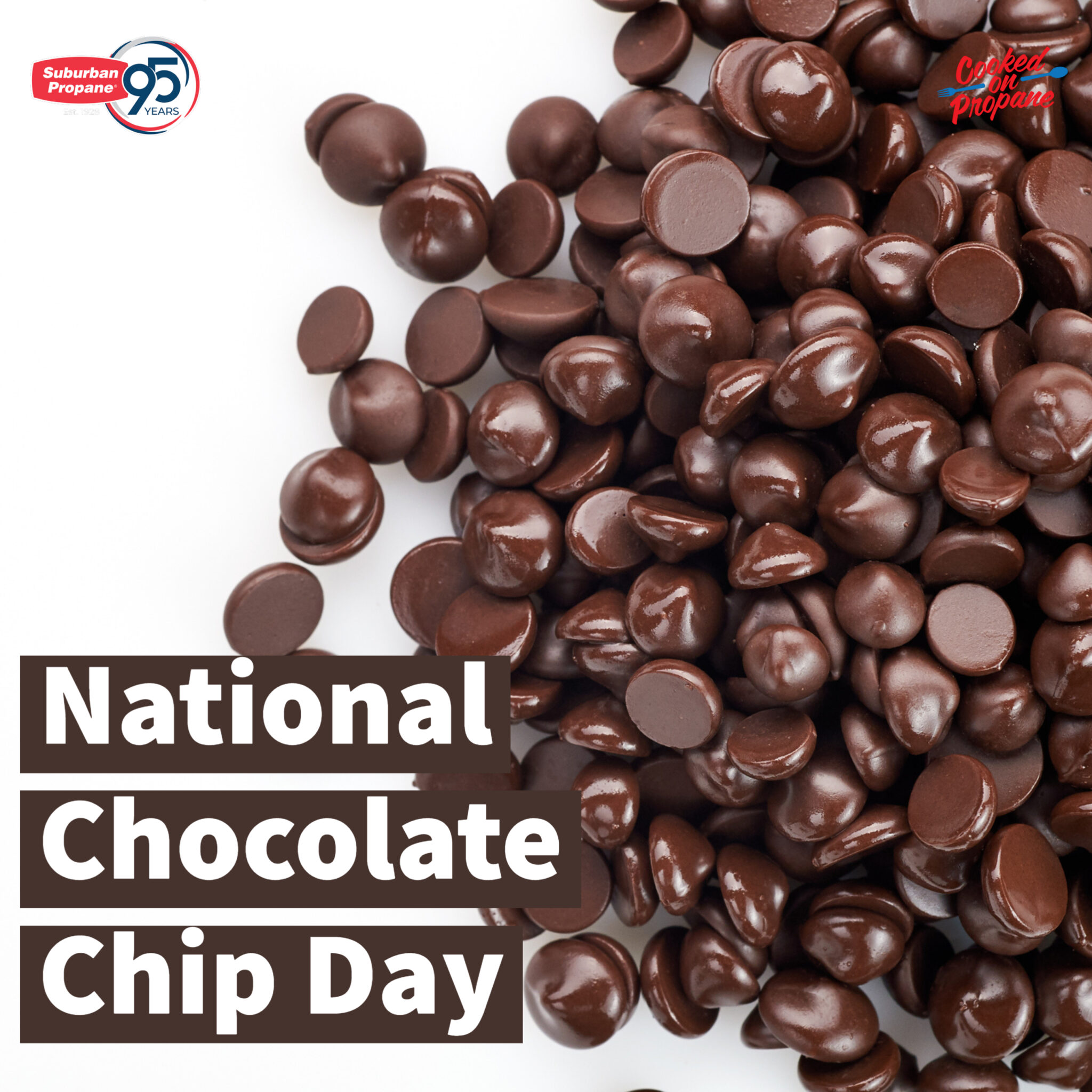 National Chocolate Chip Day